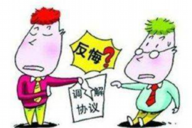 合阳遇到恶意拖欠？专业追讨公司帮您解决烦恼